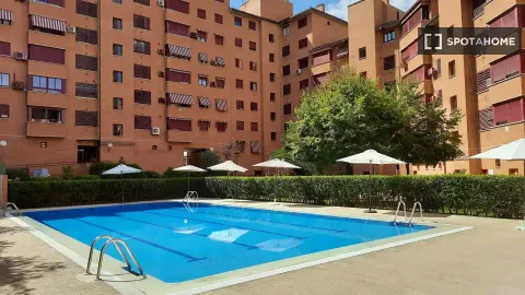 Chambre à louer, Madrid