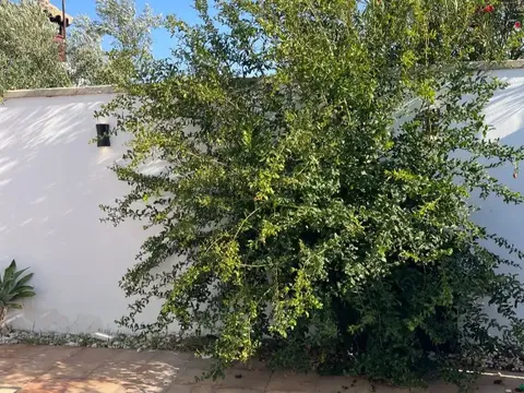 Casa de 95 m² a Chiclana de la Frontera