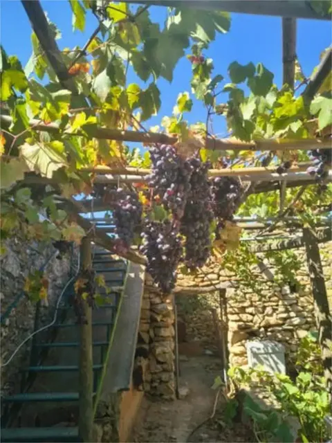 Habitació de lloguer, Vilanova d'Alcolea