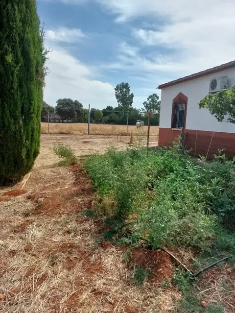 Casa de 85 m² a Argamasilla de Calatrava