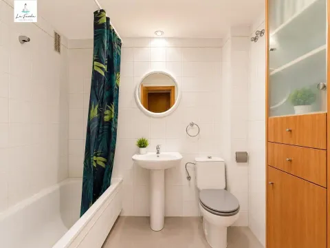 Habitació de lloguer, Màlaga
