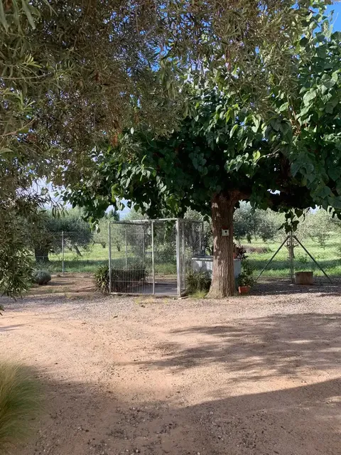 Casa de 164 m² a Reus