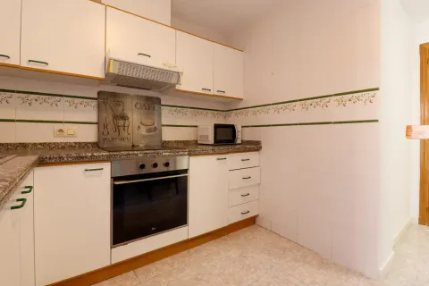 Habitació de lloguer, Alacant