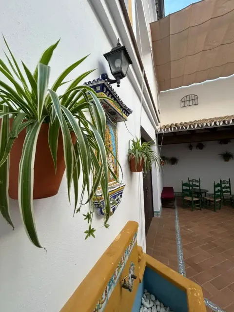 Casa de lloguer, Almonte