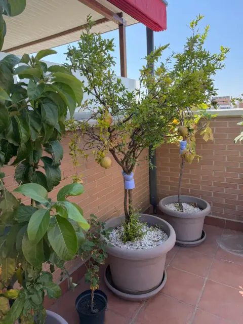 Apartamento 110 m² em Parla