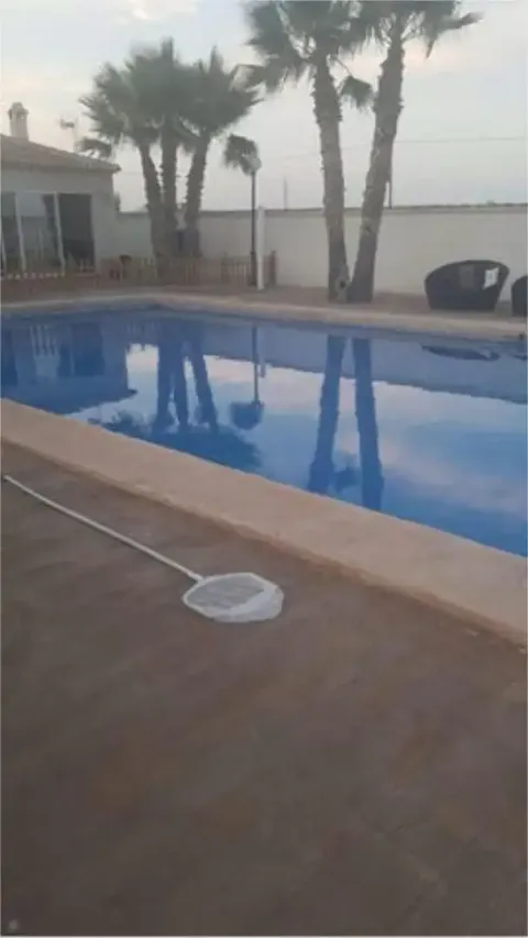 House 800 m² in Elx / Elche (4/7)