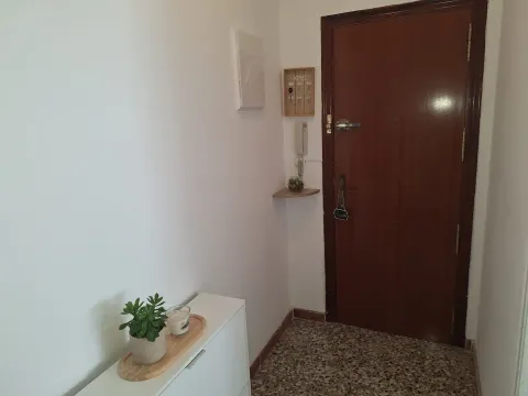 Habitació de lloguer, Sant Vicent del Raspeig