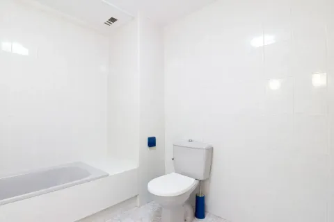 Habitació de lloguer, Alacant