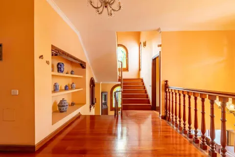 Stanza in affitto, Las Palmas de Gran Canaria