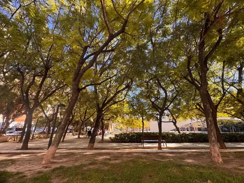 Pis de 60 m² a Alacant