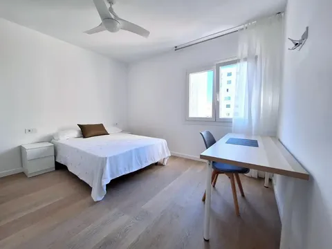 Room for rent, Palma