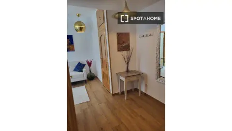 Habitació de lloguer, Madrid (3/14)