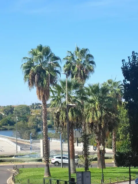 Apartamento 50 m² em Mérida