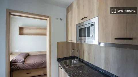 Habitació de lloguer, Bilbao