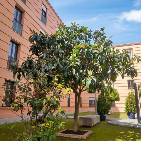 Pis de 95 m² a Granada