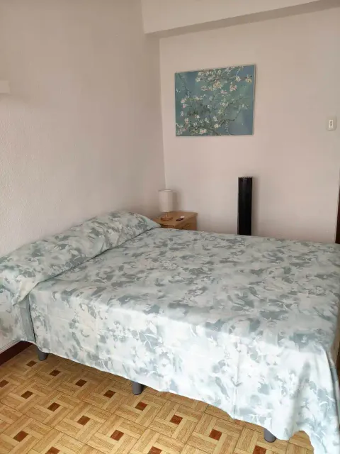 Habitació de lloguer, Alacant