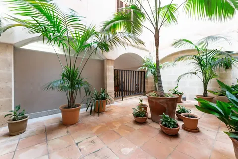 Pis de 156 m² a Palma