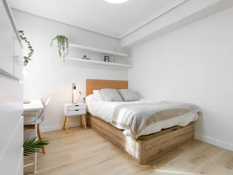 Habitació de lloguer, Madrid (2/20)