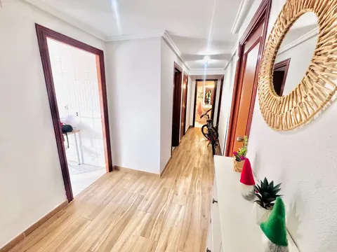 Habitació de lloguer, Alacant