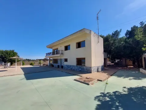 Pis de 300 m² a Elx