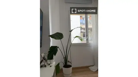 Habitació de lloguer, Barcelona