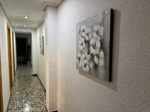 Appartamento 110 m² a Elx / Elche