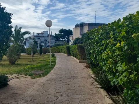 Wohnung 62 m² in Palma