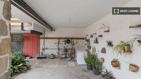 Habitació de lloguer, Villena