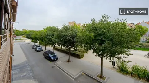 Stanza in affitto, Madrid