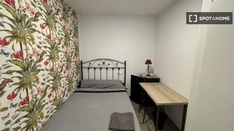 Room for rent, Cádiz (2/19)