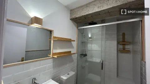 Chambre à louer, Bilbao