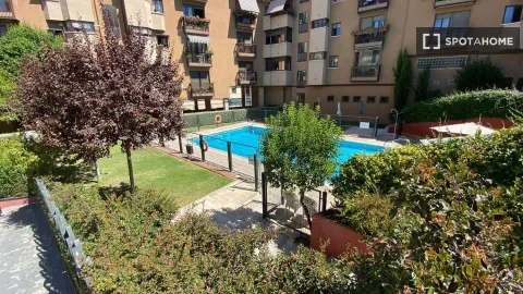 Stanza in affitto, Madrid