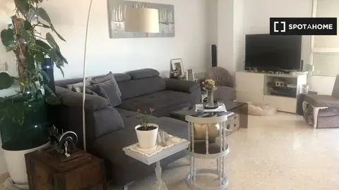 Habitació de lloguer, Alacant