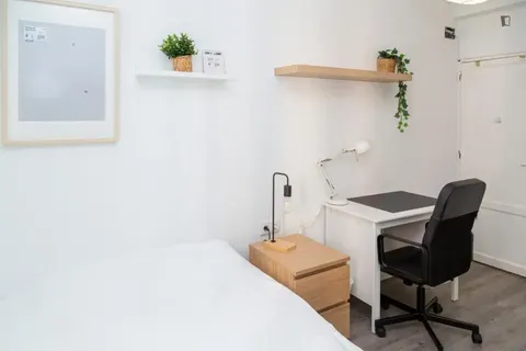 Habitació de lloguer, Saragossa