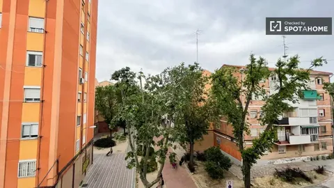 Stanza in affitto, Madrid