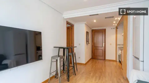 Flat for rent, Madrid (4/13)