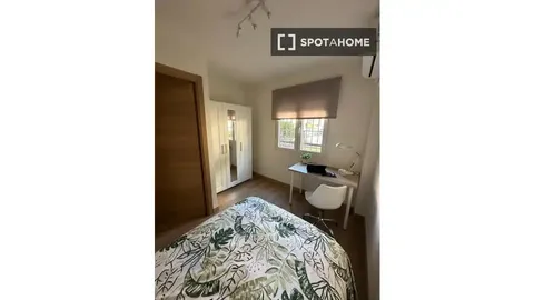 Quarto para alugar, Sevilla