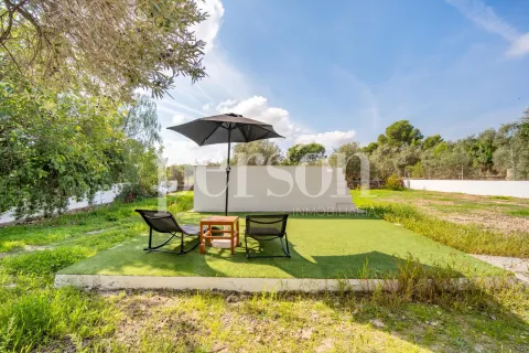 Casa 50 m² a Llíria (3/26)