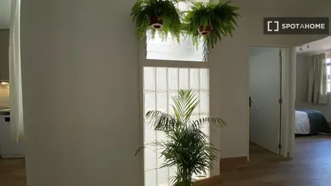 Habitació de lloguer, Las Palmas de Gran Canaria