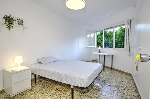 Habitació de lloguer, Alacant