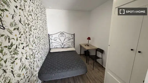 Habitació de lloguer, Cádiz