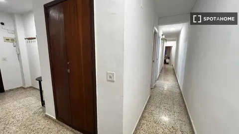 Stanza in affitto, Valencia