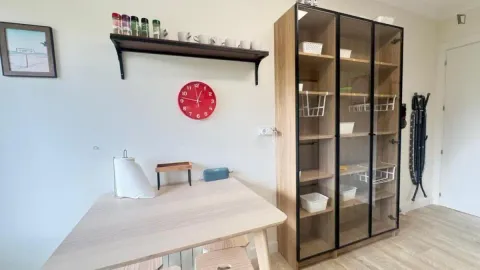 Habitació de lloguer, Bilbao