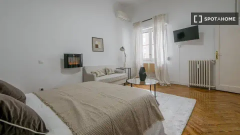 Room for rent, Madrid (4/19)