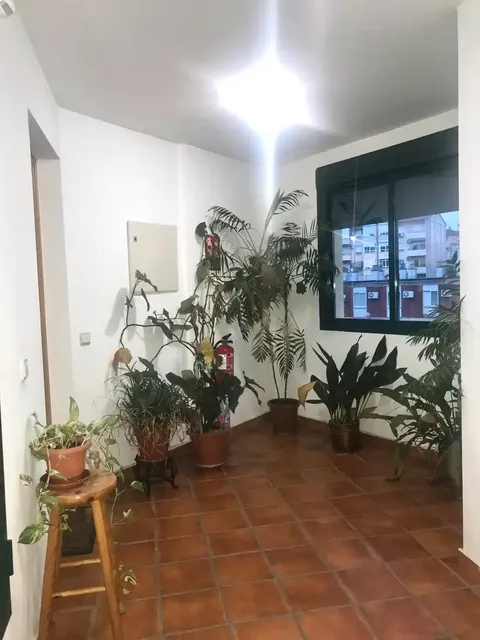 Appartamento 220 m² a Plasencia
