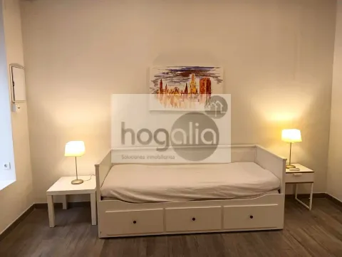 Flat 45 m² in Seville (2/12)