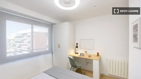 Stanza in affitto, Valencia