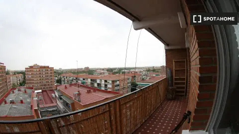 Habitació de lloguer, Madrid