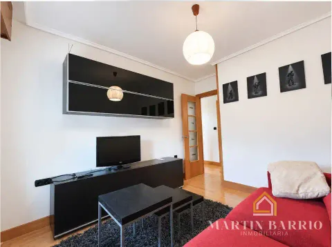 Flat 67 m² in Muskiz (4/14)
