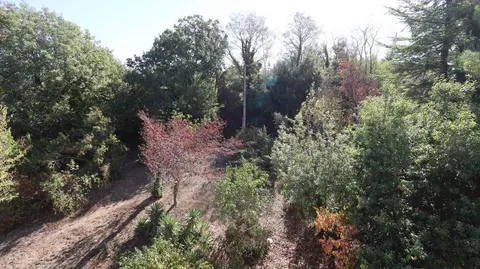 Pis de 30 m² a Moià